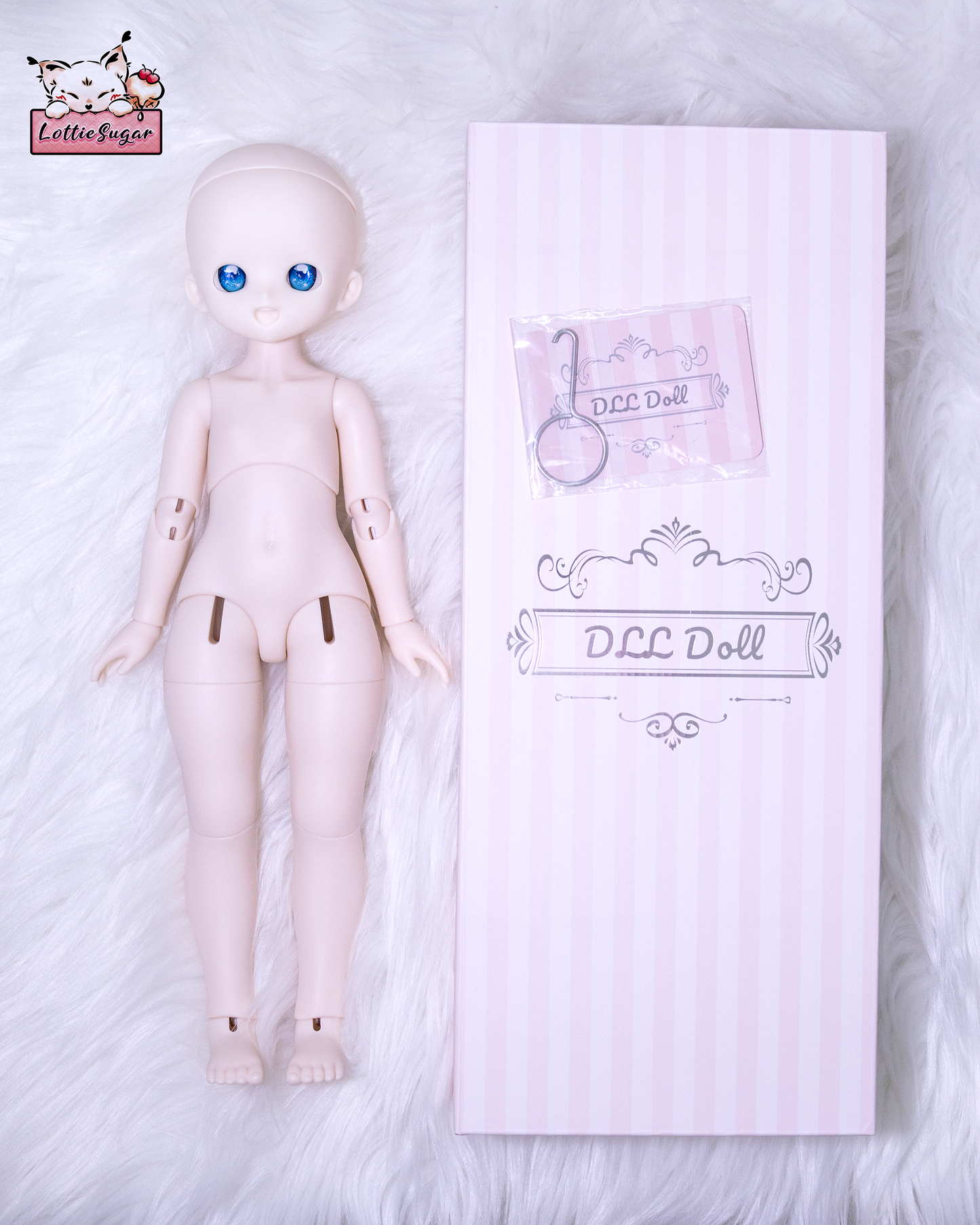 Blank Heads for Face Up Commission - MDD/DD, Tinyfox, Puyoodoll, Others